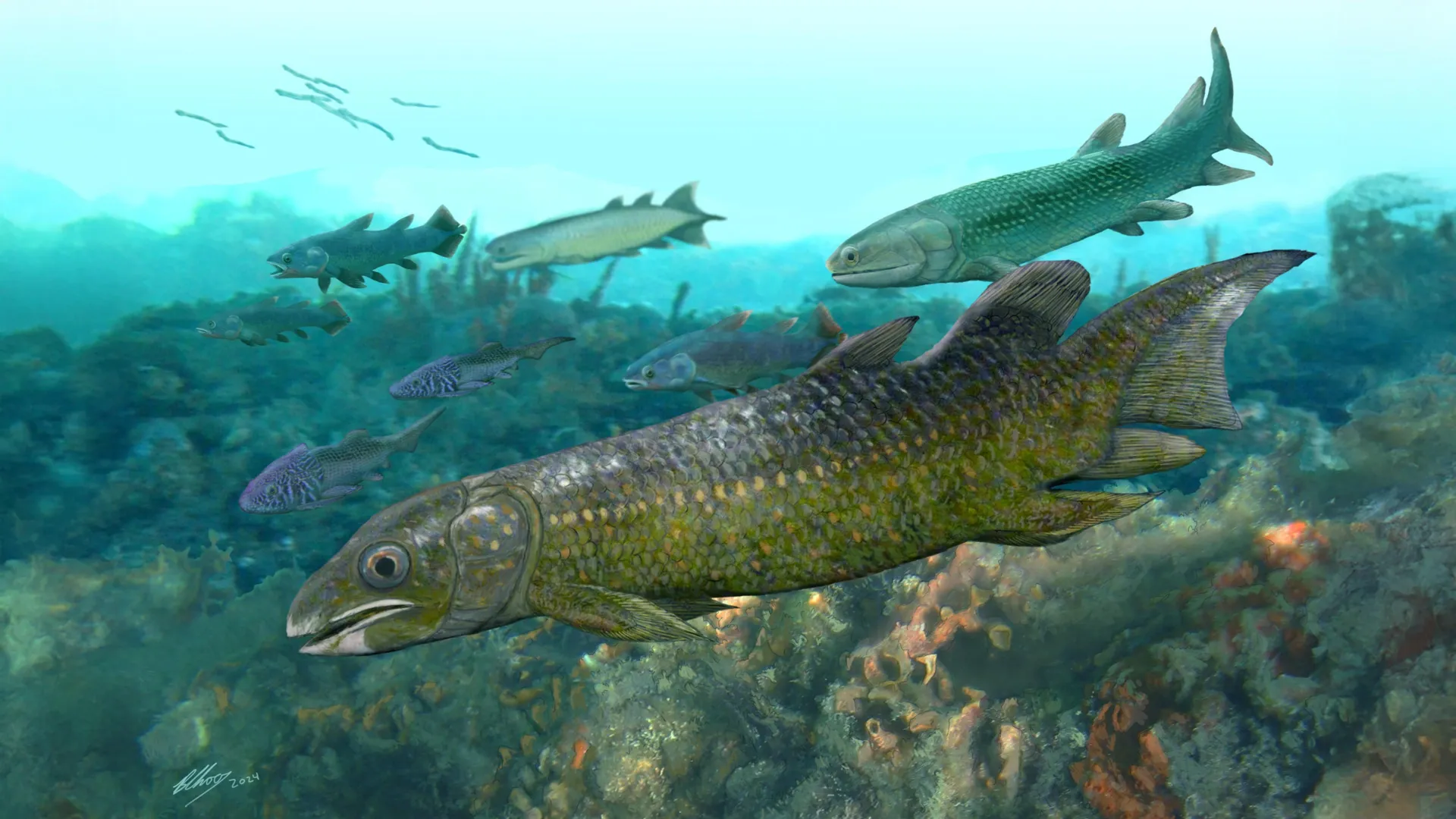 4億年前の魚の化石