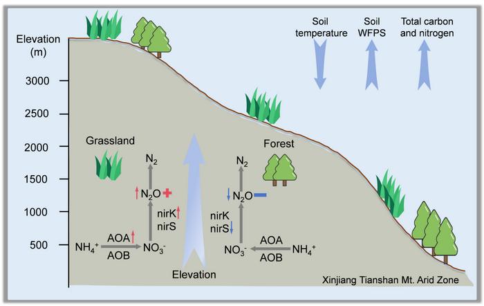 乾燥地域の土壌と温室効果ガス