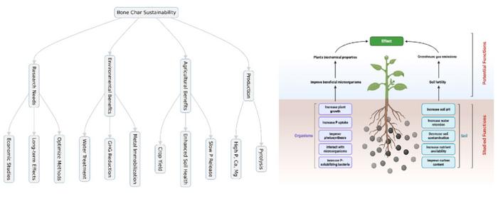 屠殺場の廃棄物を肥料に