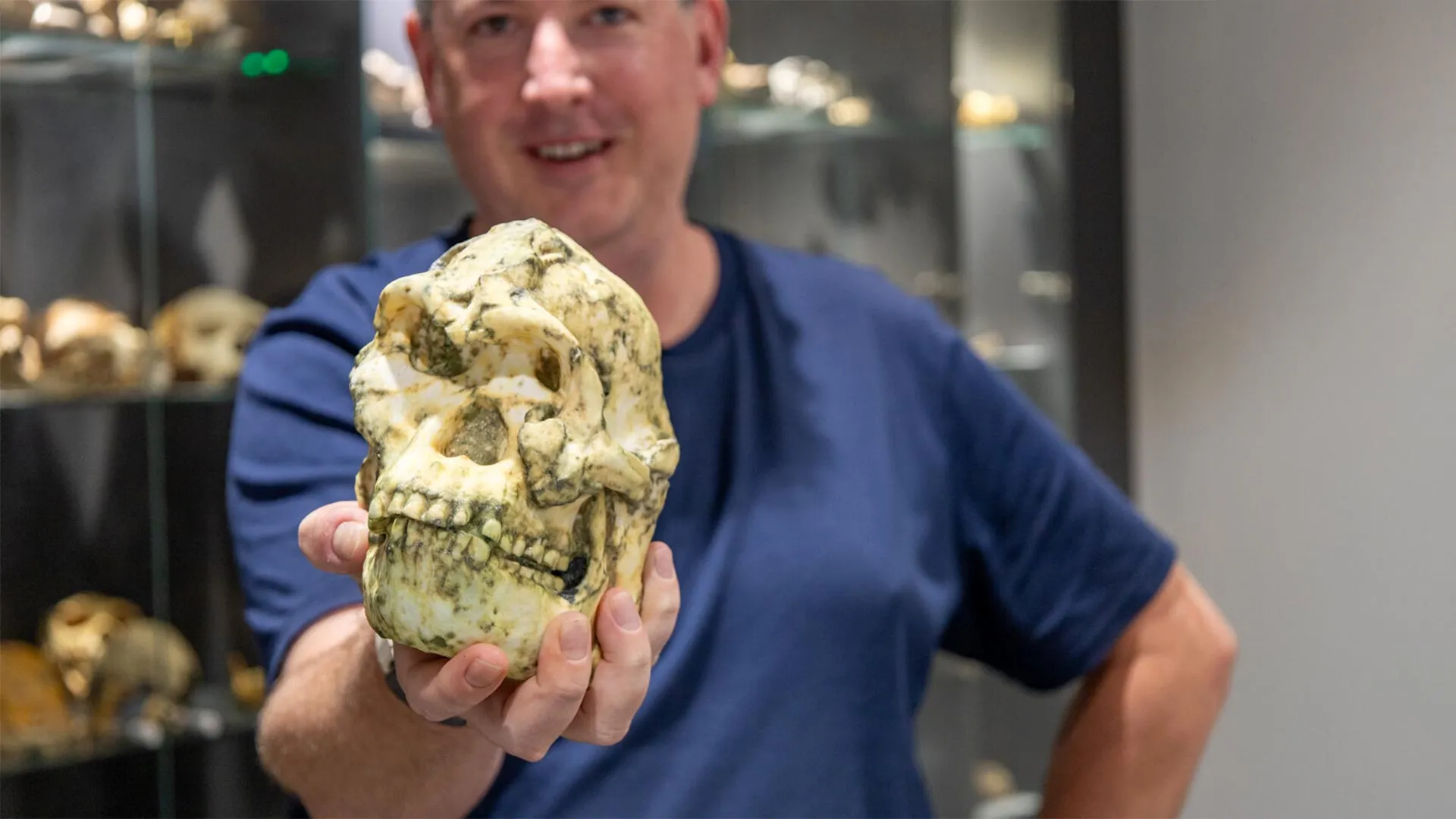 新しい人類の祖先化石