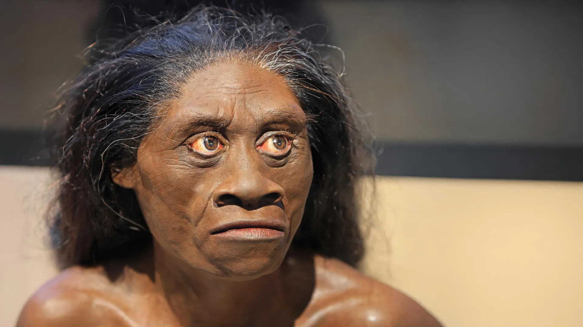古代の干ばつとホビット
